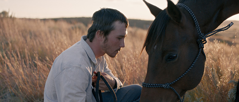 the rider