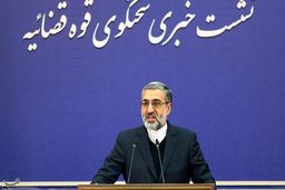 حکم متهمان پرونده جاسوسان محیط‌زیستی قطعی شد
