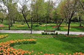هشدار در مورد احتمال انتقال ویروس کرونا در بوستان‌ها