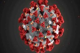 شمار مبتلایان جهانی کرونا از دو میلیون نفر گذشت