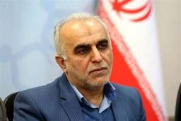وزیر اقتصاد: دنبال کوچک‏‌سازی دولت هستیم