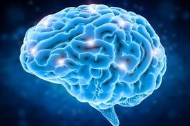 چرا باید بیش از همیشه مواظب سلامت مغزمان باشیم!