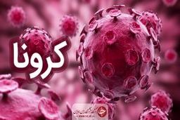 ۱۴۸۱ بیمار جدید مبتلا به کرونا در کشور شناسایی شد/ در ۲۴ ساعت گذشته در ۱۴ استان، موارد فوتی نداشته ایم