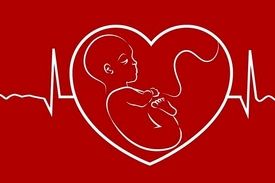 سئوالاتی که باید قبل از بارداری پاسخ داد