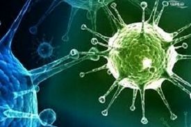 پلاسمادرمانی واکسن اولیه درمان کرونا است؟