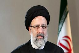 برخورد با دانه درشت ها جرائم جزئی را کاهش می دهد