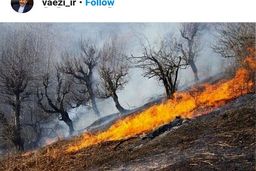 واعظی: گزارش جامع آتش‌سوزی «خائیز» برای رئیس‌جمهوری ارسال می‌شود