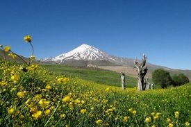 توضیحات تازه اوقاف در مورد ماجرای وقف دماوند
