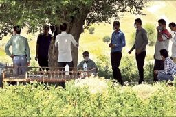 زیر درخت مال استریت؛ عجیب‌ترین اتاق بورسی