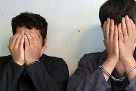 گنج میلیاردی در باغچه خانه مال‌باخته