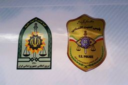ناجا: کشف بیش از ۲۵۰ هزار عدد انواع ماسک/ دستگیری ۱۱ محتکر