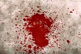 مرگ رازآلود در خانه شماره ٢٩