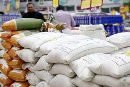 تخصیص ۵۰۰ میلیون دلار ارز نیمایی برای ترخیص برنج تاکنون / برنج مشمول ارز ۴۲۰۰ نیست