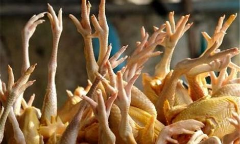 قیمت پای مرغ هم از نرخ مصوب مرغ بیشتر شد/ هر کیلوگرم ۲۷۷۰۰ تومان