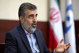 تغییر در دسترسی بازرسان آژانس نیازمند تصمیم‌گیری در سطوح عالی است