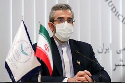 آمریکا سلطه‌گری و جنایت پیشگی را کنار نخواهد گذاشت
