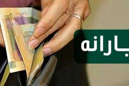 شرکت‌های دولتی در سال آینده زیانده می‌شوند