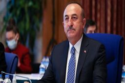هشدار آنکارا درباره افزایش اسلام‌هراسی و بیگانه‌ستیزی در جهان