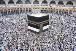 رییس سازمان حج: تکلیف حج روشن نیست/ برای اعزام زایر به عتبات آماده ایم