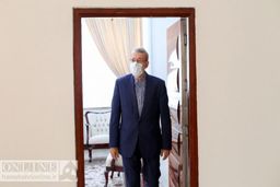لاریجانی : ظفر در پیش است
