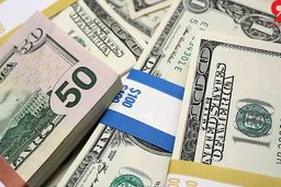 نوسان نرخ ارز در اولین روز هفته؛ دلار ۲۳ هزار و ۸۲۵ تومان است