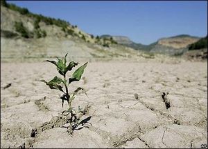 ۱۵۰۰ میلیارد تومان در حوزه آب و فاضلاب استان خوزستان تخلف شده است