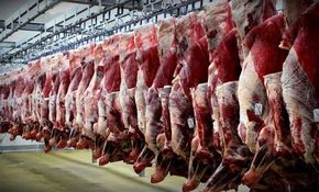آغاز توزیع اینترنتی سبد گوشت و مرغ تنظیم بازاری