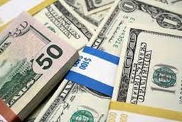 نرخ ارز در بازار آزاد ۳۰ مرداد ۱۴۰۰؛ یورو ۳۰ هزار و ۵۰۸ تومان است