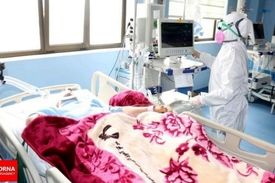 رشد ۲۱۷ درصدی موارد فوتی در یک ماه