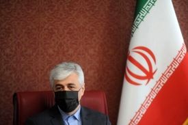 سرخابی‌ها تا ۲ ماه آینده خصوصی‌ می‌شوند