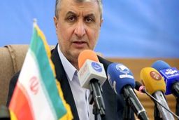 آژانس بین‌المللی انرژی اتمی هم می‌داند که کنترل دوربین‌های برجامی الزامی ندارد