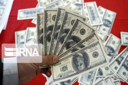 نقش ارز ۴۲۰۰ تومانی در افزایش قاچاق معکوس از کشور