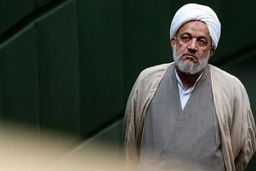 برای تصویب طرح صیانت مصمم هستیم