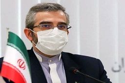 اگر همه طرف‌ها در وین جدی تعامل کنند امکان پیشرفت وجود دارد