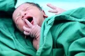 قاعده هرم جمعیتی کشور در حال کوچک شدن است / هشت سال فرصتِ جبران داریم