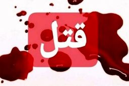 خواستم مانع ازدواجش شوم کشتمش!