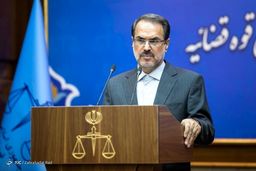 سازمان حمایت و وزارت صنعت جدی‌تر به مسئله ورود کنند