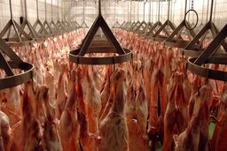 تاثیر ارز ۴۲۰۰ تومانی بر قیمت مرغ و گوشت