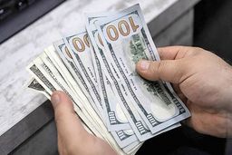قیمت دلار و یورو و طلا بازار آزاد و صرافی ملی ۱۱بهمن