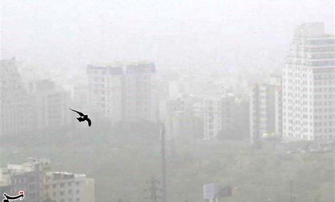 بیشتر آلو‌دگی‌ها از عراق و سوریه شروع می‌شود
