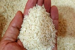 توزیع برنج و شکر یارانه‌ای در سطح کشور از امروز