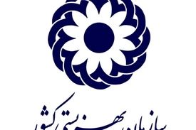توضیح معاون بهزیستی کشور درباره رهاکردن نوزادان
