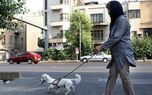 شغل سگ گردانی با حقوق ۷ میلیونی