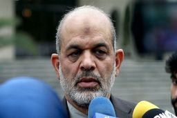 وزیر کشور درمورد فیلم منتشره از یک مامور نیروی انتظامی: طبق ضوابط عمل کرده