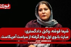 شیما قوشه، وکیل دادگستری: عبارت بانوی اول، وام گرفته از سیاست آمریکاست.