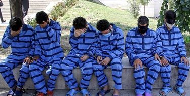 دستگیری اعضای ۲ باند سرقت ۶ میلیاردی احشام در قم