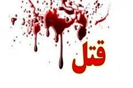دستگیری مردی که برای سرقت خودرو مرتکب جنایت شد