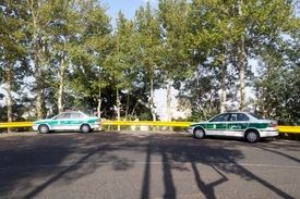 معمای کشف استخوان‌های انسان در میان شمشادها