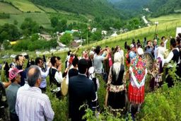 علت عجیب فوت ۵۸ نفر طی پنج ماه گذشته