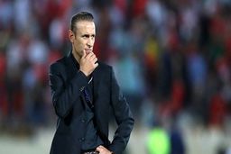 گل‌محمدی: حقمان نیست زمین نداشته باشیم